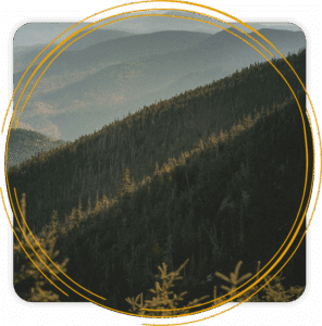 Natural landscape representing emotional healing with trauma treatment in Washington