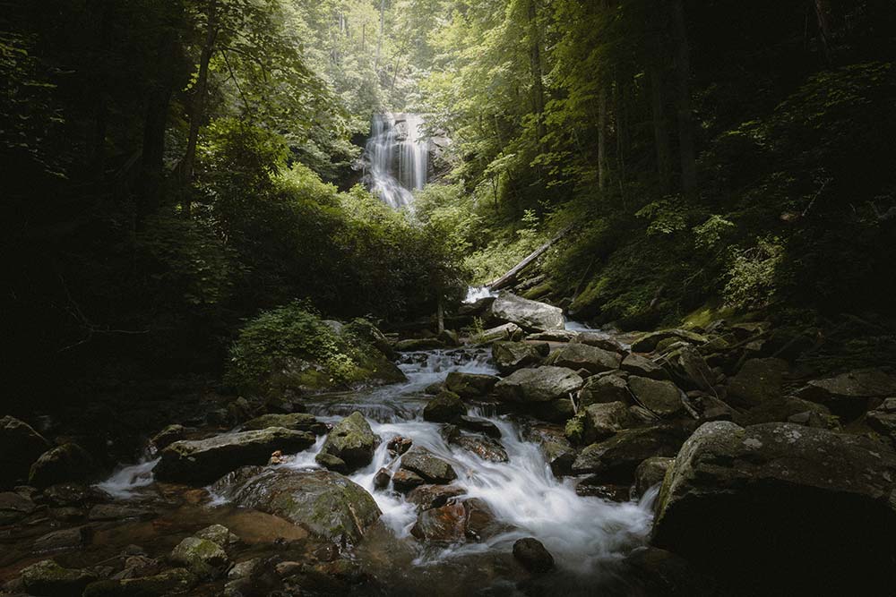 waterfall and rocky stream flow through a lush dark forest