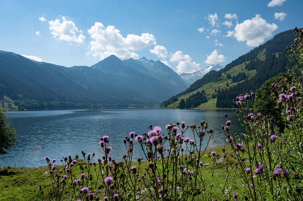A lake surrounded by mountains with purple flowers